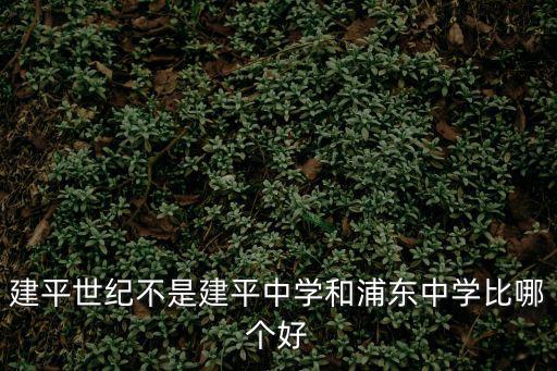 建平世紀不是建平中學和浦東中學比哪個好