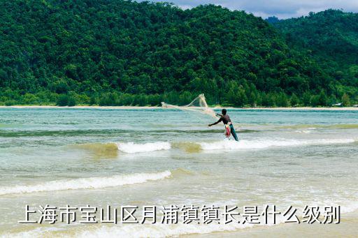 上海市寶山區(qū)月浦鎮(zhèn)鎮(zhèn)長(zhǎng)是什么級(jí)別