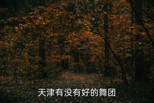 天津有沒有好的舞團(tuán)