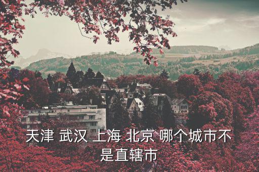 天津 武漢 上海 北京 哪個城市不是直轄市