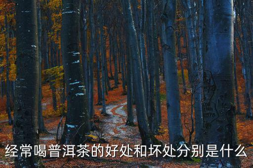 經(jīng)常喝普洱茶的好處和壞處分別是什么