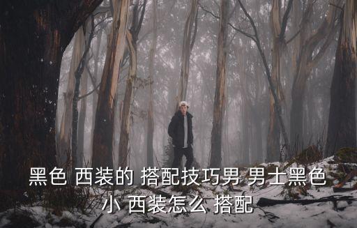 黑色 西裝的 搭配技巧男 男士黑色小 西裝怎么 搭配