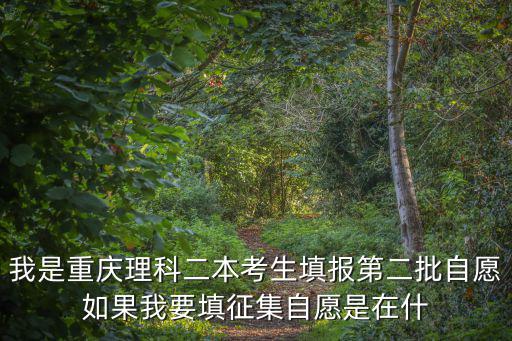 我是重慶理科二本考生填報第二批自愿如果我要填征集自愿是在什