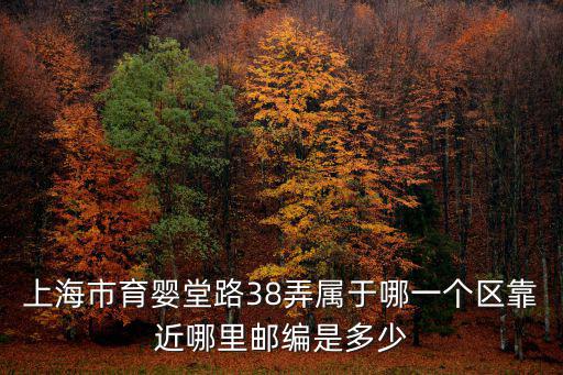 上海市育嬰堂路38弄屬于哪一個區(qū)靠近哪里郵編是多少