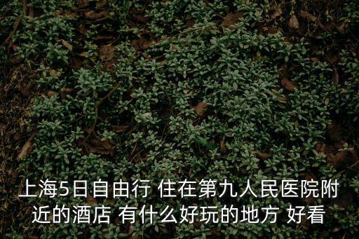 上海5日自由行 住在第九人民醫院附近的酒店 有什么好玩的地方 好看