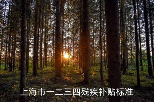 上海市一二三四殘疾補貼標準