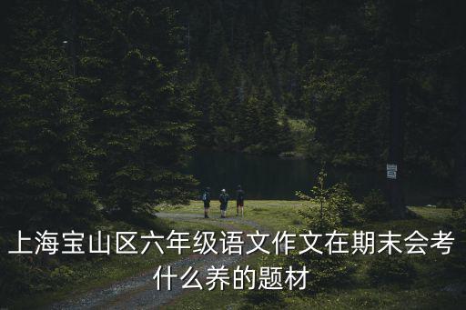 上海寶山區六年級語文作文在期末會考什么養的題材