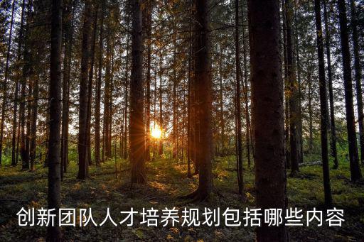 人才培養(yǎng)計(jì)劃，公司的人才培養(yǎng)計(jì)劃大家?guī)兔ζ饌€(gè)好聽(tīng)的名字