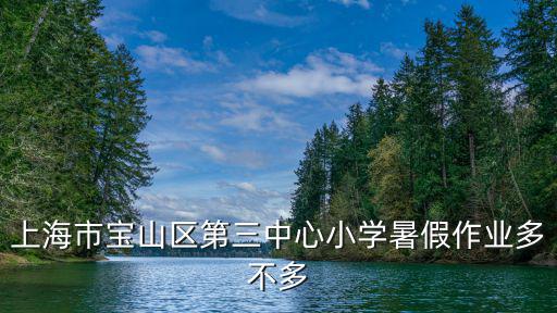 上海市寶山區第三中心小學暑假作業多不多