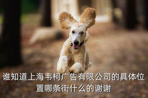 誰知道上海韋柯廣告有限公司的具體位置哪條街什么的謝謝