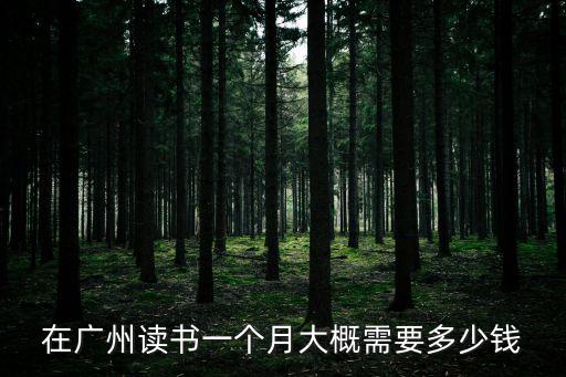 在廣州讀書一個月大概需要多少錢