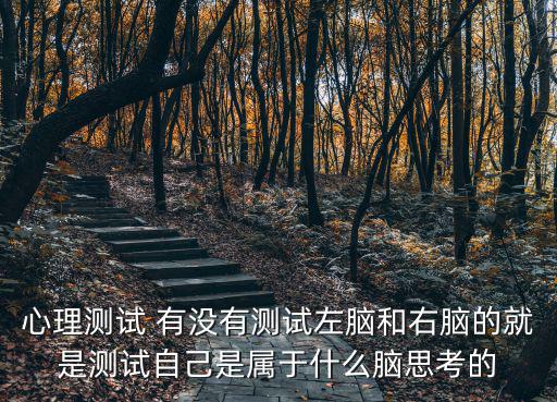 心理測試 有沒有測試左腦和右腦的就是測試自己是屬于什么腦思考的