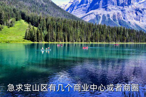 急求寶山區有幾個商業中心或者商圈