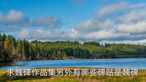 求魏碑作品集另外有哪些碑貼是魏碑