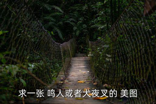 求一張 鳴人或者犬夜叉的 美圖