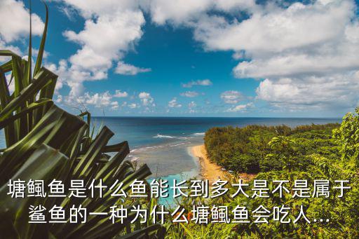 塘鲺魚是什么魚能長到多大是不是屬于鯊魚的一種為什么塘鲺魚會吃人...