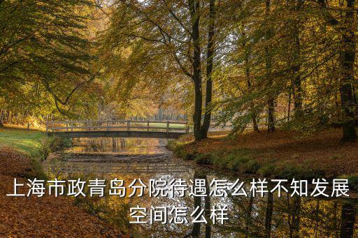上海市政青島分院待遇怎么樣不知發展空間怎么樣