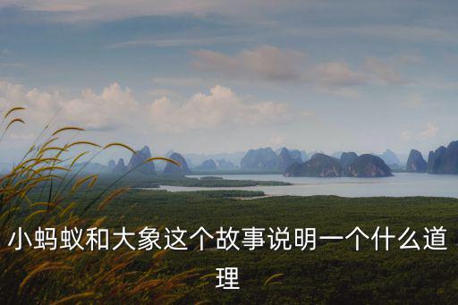 小螞蟻和大象這個故事說明一個什么道理