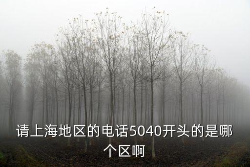 請上海地區(qū)的電話5040開頭的是哪個區(qū)啊