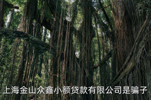 上海市平板貸款詐騙案，我想知道通知關于當事人某涉嫌上海金融貸款欺詐一案案件號