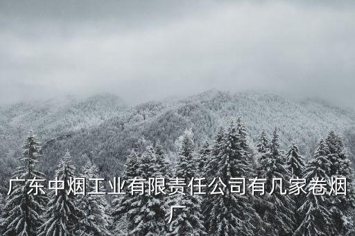 廣東中煙工業有限責任公司有幾家卷煙廠