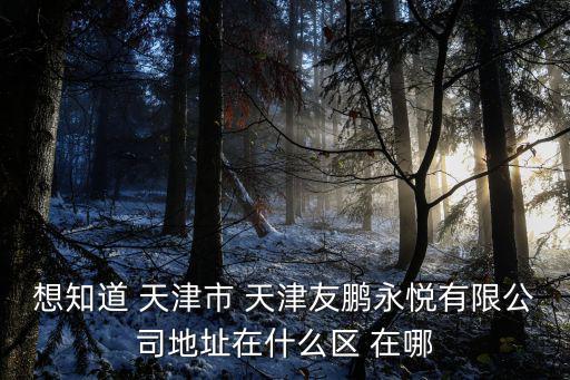 想知道 天津市 天津友鵬永悅有限公司地址在什么區 在哪