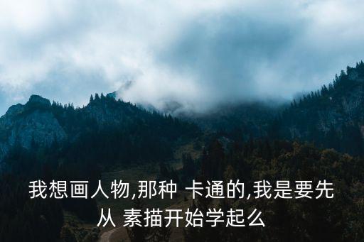 我想畫人物,那種 卡通的,我是要先從 素描開始學(xué)起么