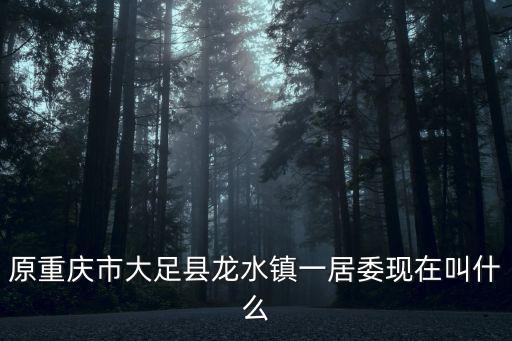 原重慶市大足縣龍水鎮一居委現在叫什么