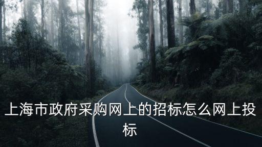 上海市政府采購網(wǎng)上的招標(biāo)怎么網(wǎng)上投標(biāo)