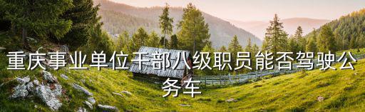 重慶事業單位干部八級職員能否駕駛公務車