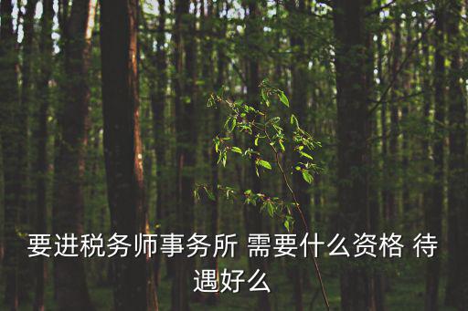 要進稅務師事務所 需要什么資格 待遇好么