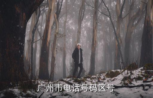 廣州市電話號碼區號