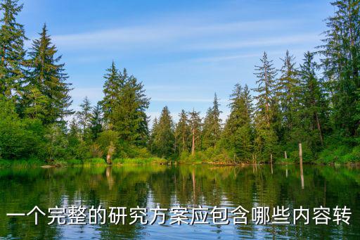 一個完整的研究方案應包含哪些內容轉