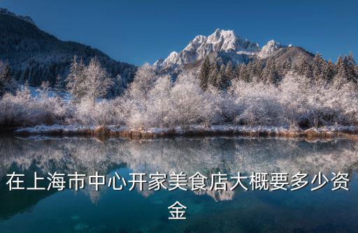 在上海市中心開家美食店大概要多少資金