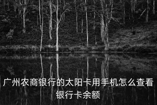 怎樣查廣州農商銀行卡余額，農商銀行卡怎么查余額
