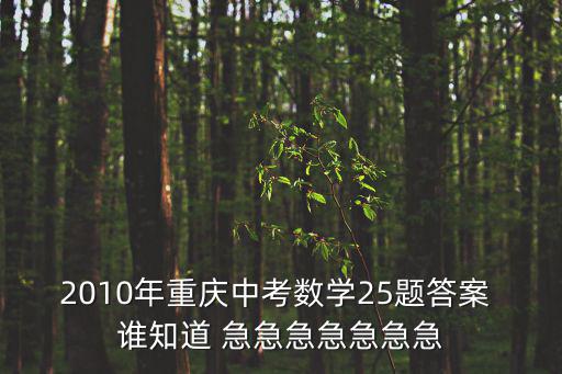 2010年重慶中考數學25題答案 誰知道 急急急急急急急