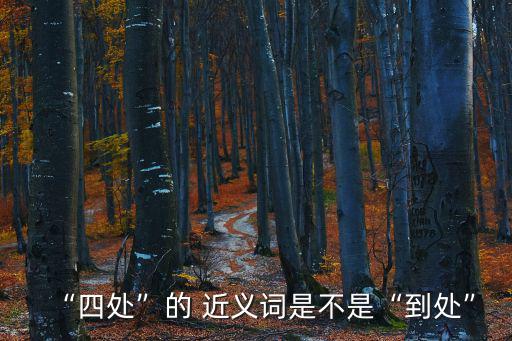 “四處”的 近義詞是不是“到處”