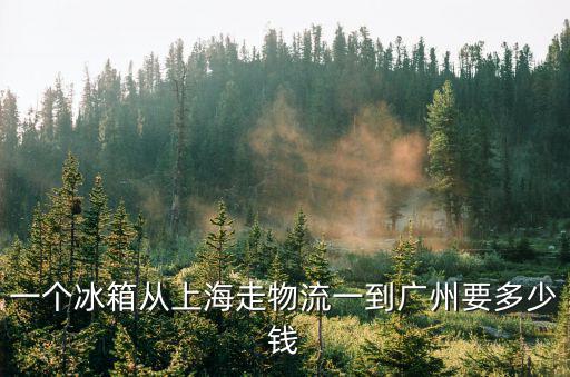 一個冰箱從上海走物流一到廣州要多少錢