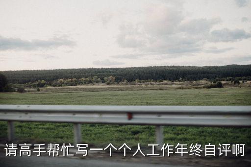 請(qǐng)高手幫忙寫一個(gè)個(gè)人工作年終自評(píng)啊