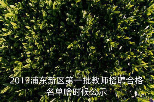 2019浦東新區(qū)第一批教師招聘合格名單啥時候公示