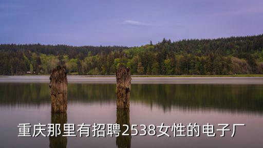 重慶那里有招聘2538女性的電子廠