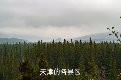 天津市河西區(qū)有哪些省，河西區(qū)的全部都是在天津市里么