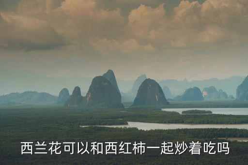  西蘭花可以和西紅柿一起炒著吃嗎