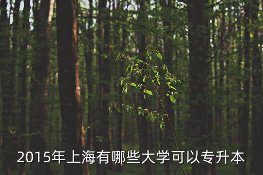 2015年上海有哪些大學(xué)可以專升本