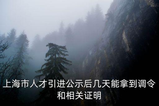 上海市人才引進(jìn)公示后幾天能拿到調(diào)令和相關(guān)證明