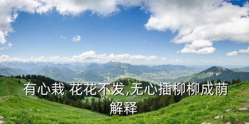  有心栽 花花不發(fā),無心插柳柳成蔭解釋