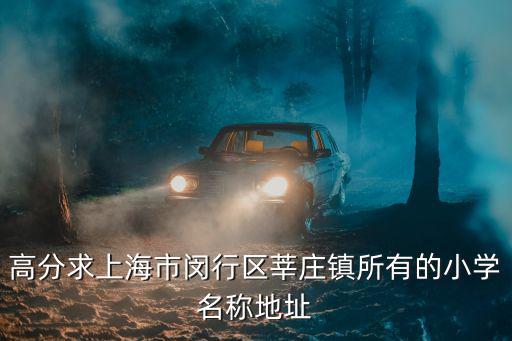 高分求上海市閔行區(qū)莘莊鎮(zhèn)所有的小學名稱地址