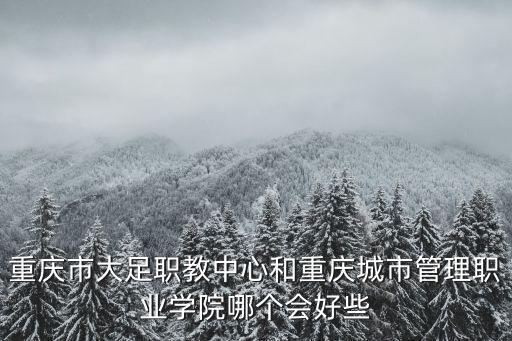 重慶市安全與穩定工作會，重慶市大足職教中心和重慶城市管理職業學院哪個會好些