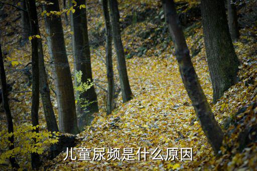 兒童尿頻，兒童尿頻是什么原因