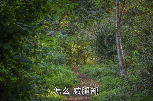 減腿,減脂是全身性而非局部減肥產品要經過驗證